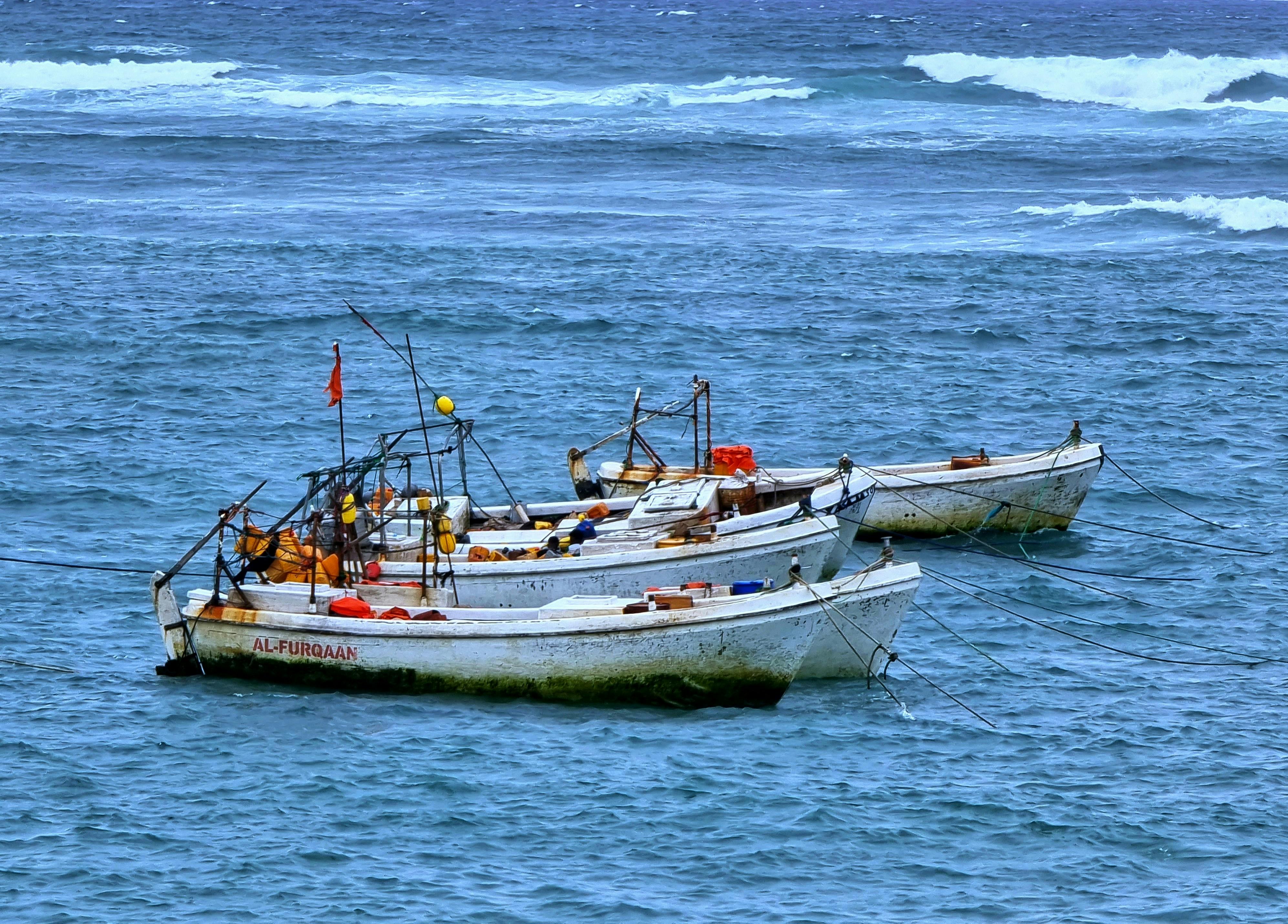 Three white fishing boats anchored on blue ocean water with small waves.